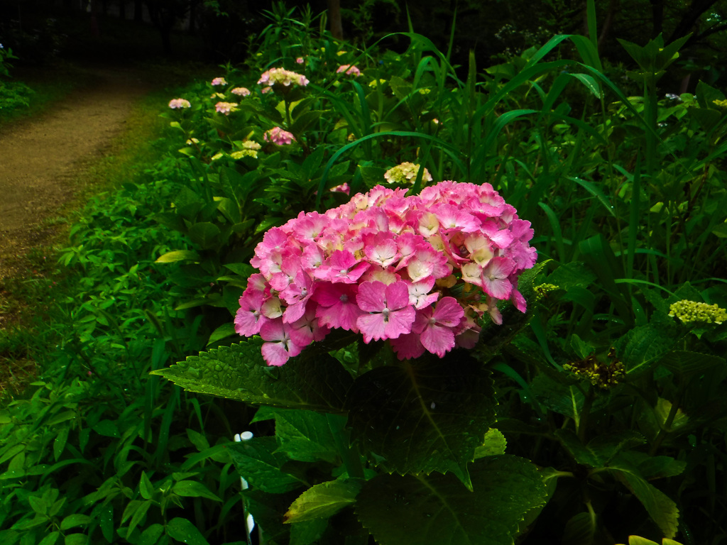 大阪城公園にて