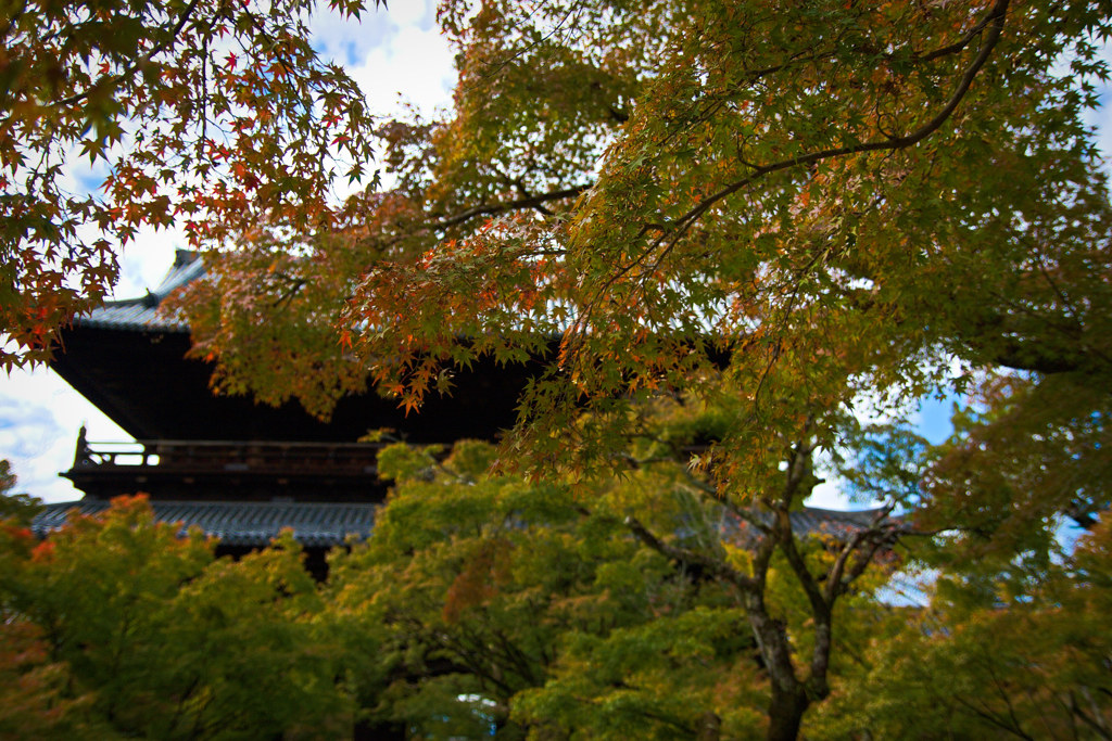 南禅寺で秋探し