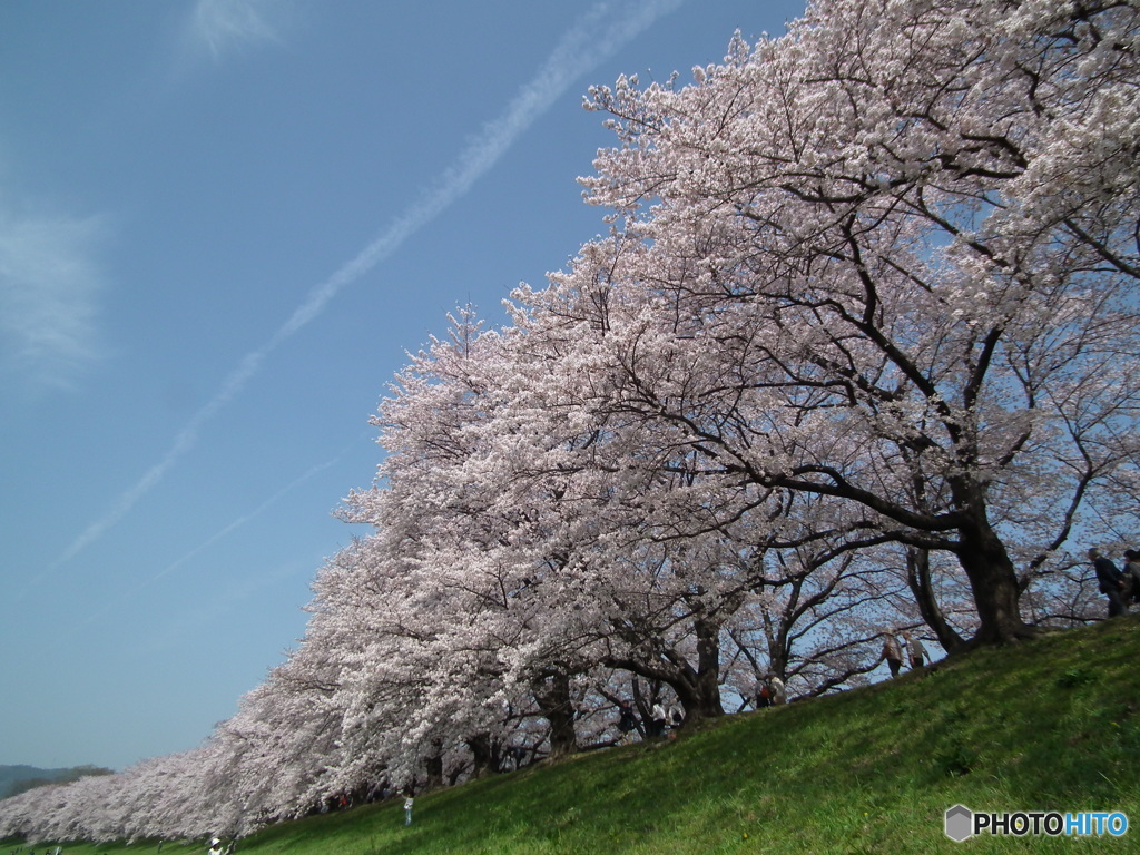 DSCF1684
