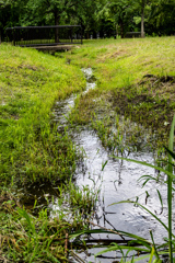 鶴見緑地公園にて