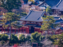 大吉山展望台から平等院鳳凰堂