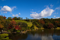 万博記念公園にて