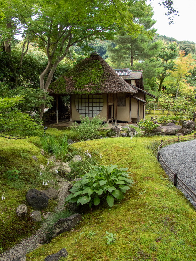 高台寺にて