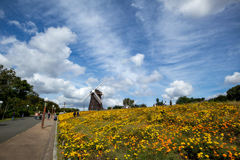 鶴見緑地公園にて