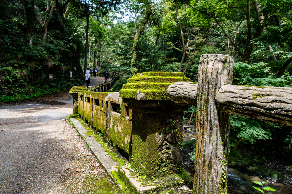 箕面公園にて