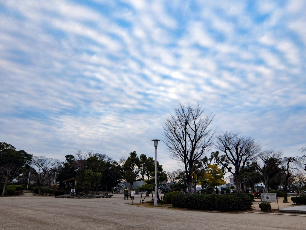 空模様
