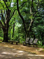 鶴見緑地公園にて
