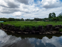 長居植物園にて