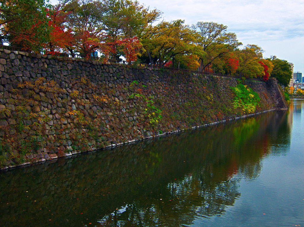 晩秋　大阪城公園にて