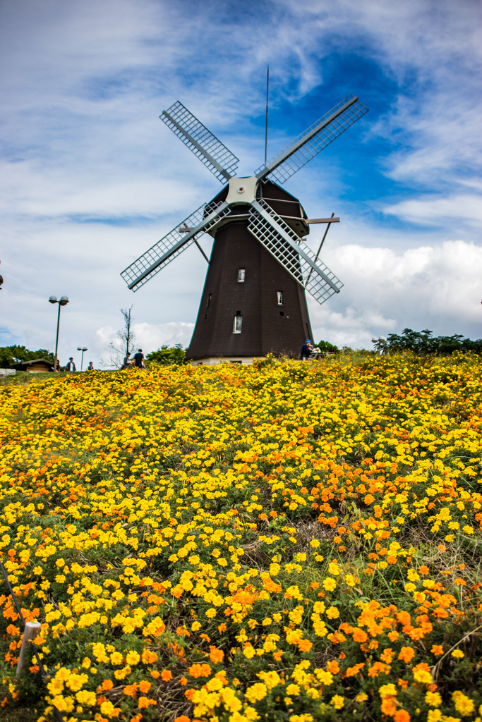 鶴見緑地公園にて
