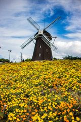 鶴見緑地公園にて
