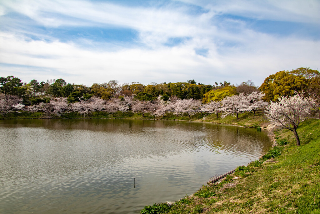 鶴見緑地公園にて