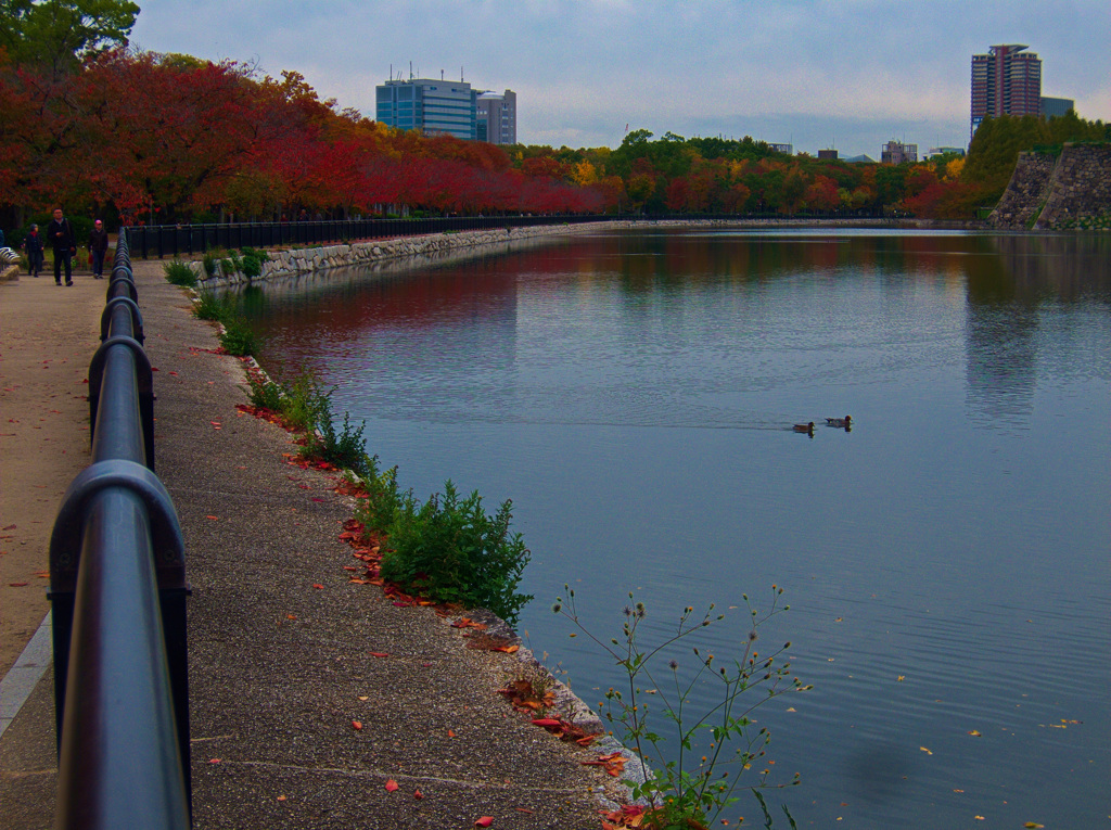 晩秋　大阪城公園にて
