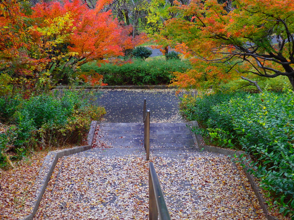 鶴見緑地公園にて