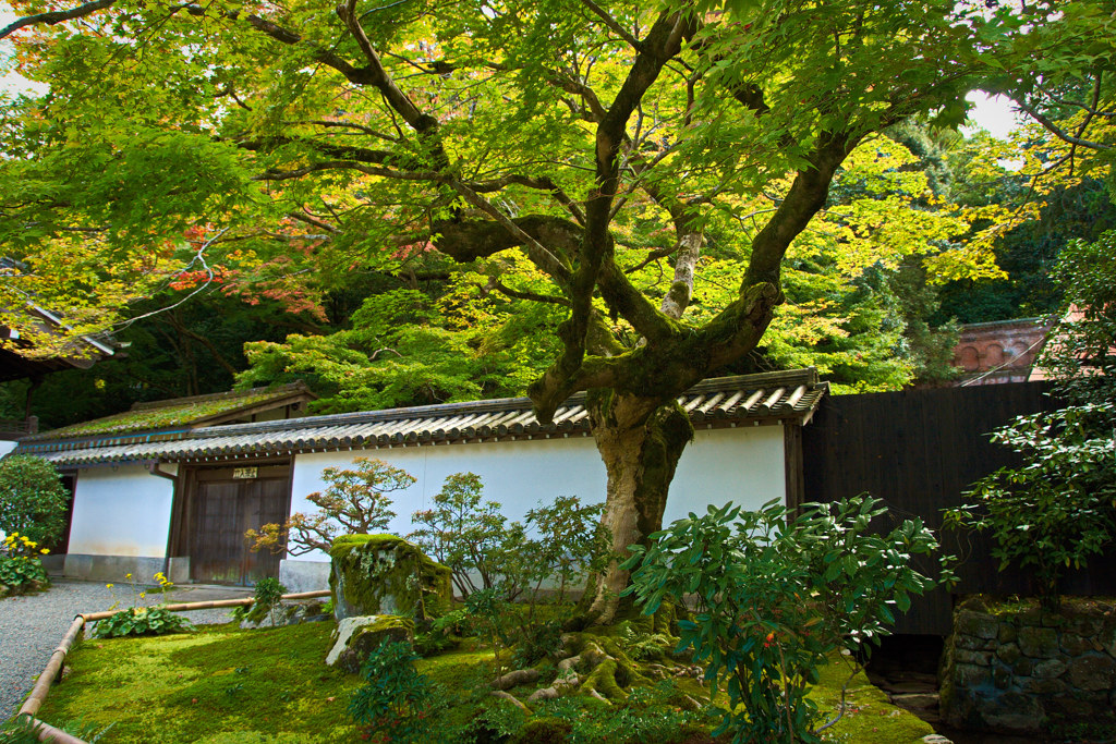 南禅寺で秋探し