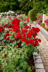 長居植物園にて