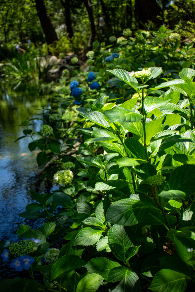 長居植物園にて