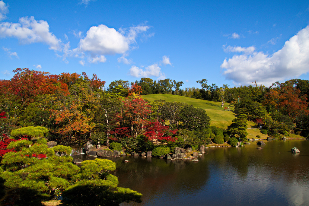 万博記念公園にて