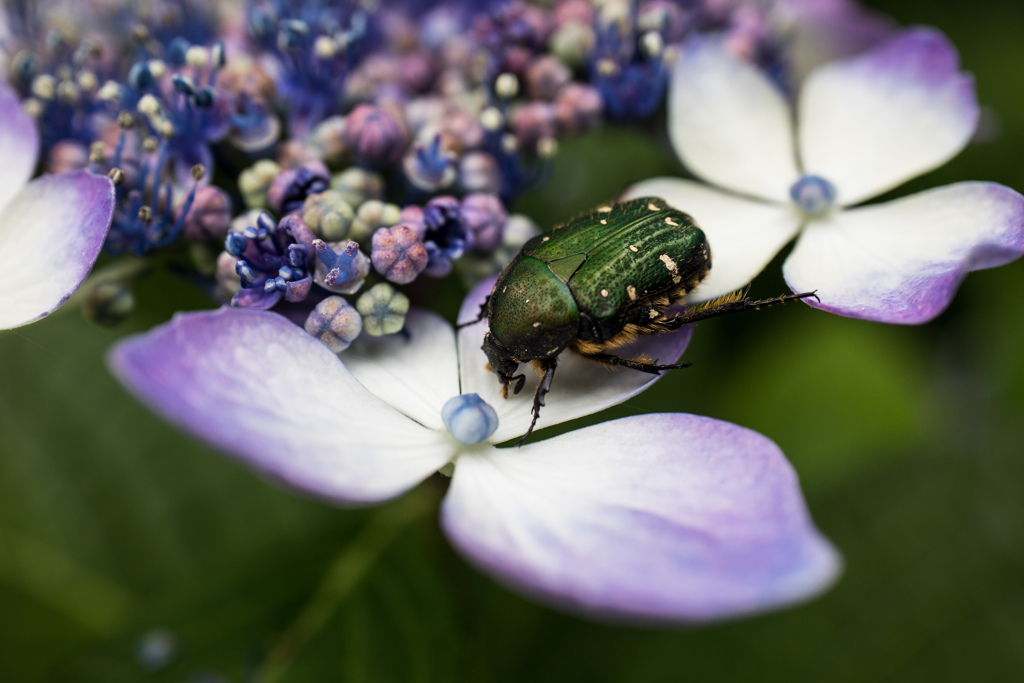 鶴見緑地公園にて