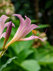 新梅田シティにて