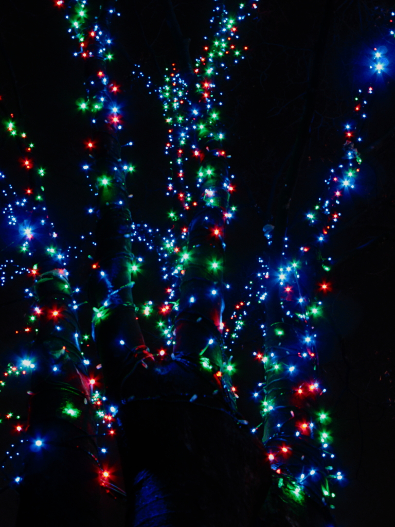 色とりどり(光のルネサンス)