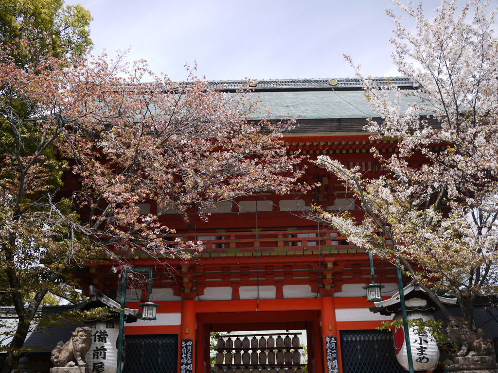 P1030738