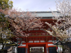 P1030738