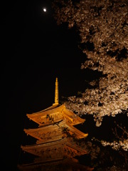 P1030257