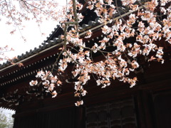 P1030363