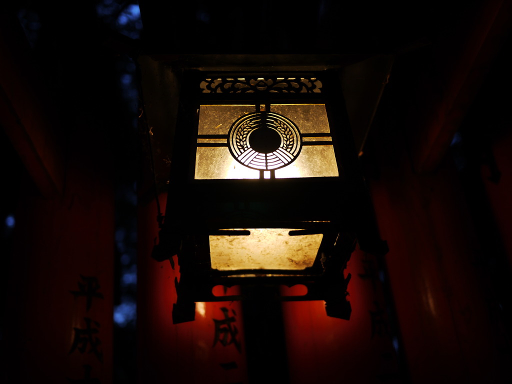 P1030839