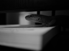 P1020206