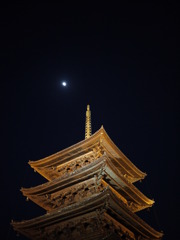 P1030216