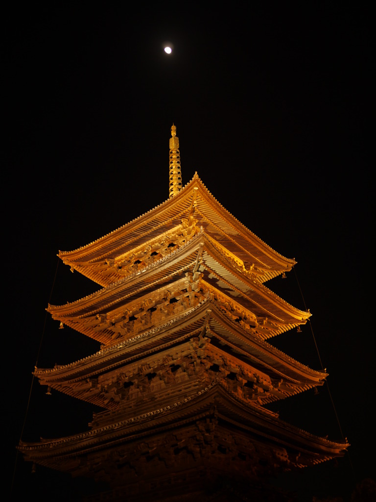 P1030260