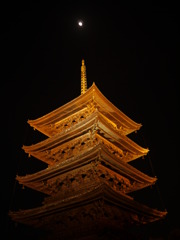 P1030260