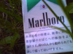 Marlboro LIGHTS