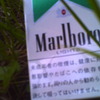 Marlboro LIGHTS