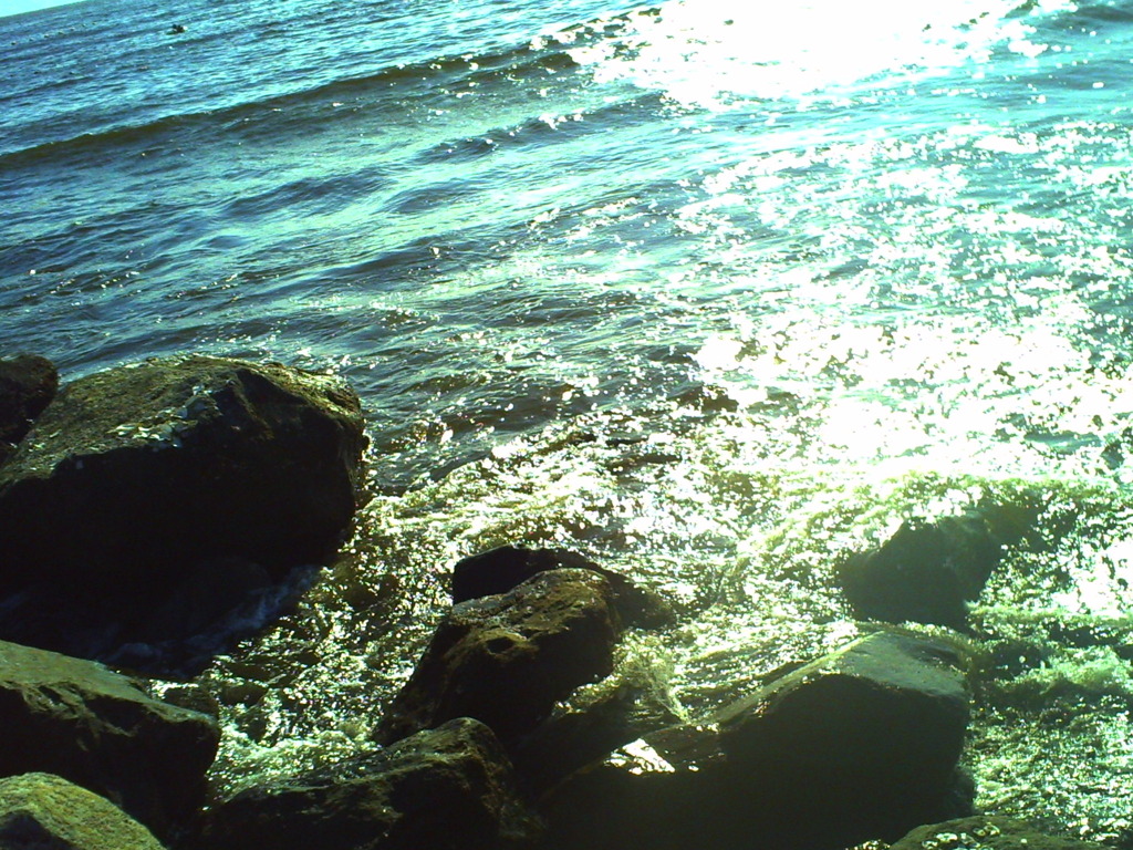 sea