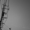 電信柱