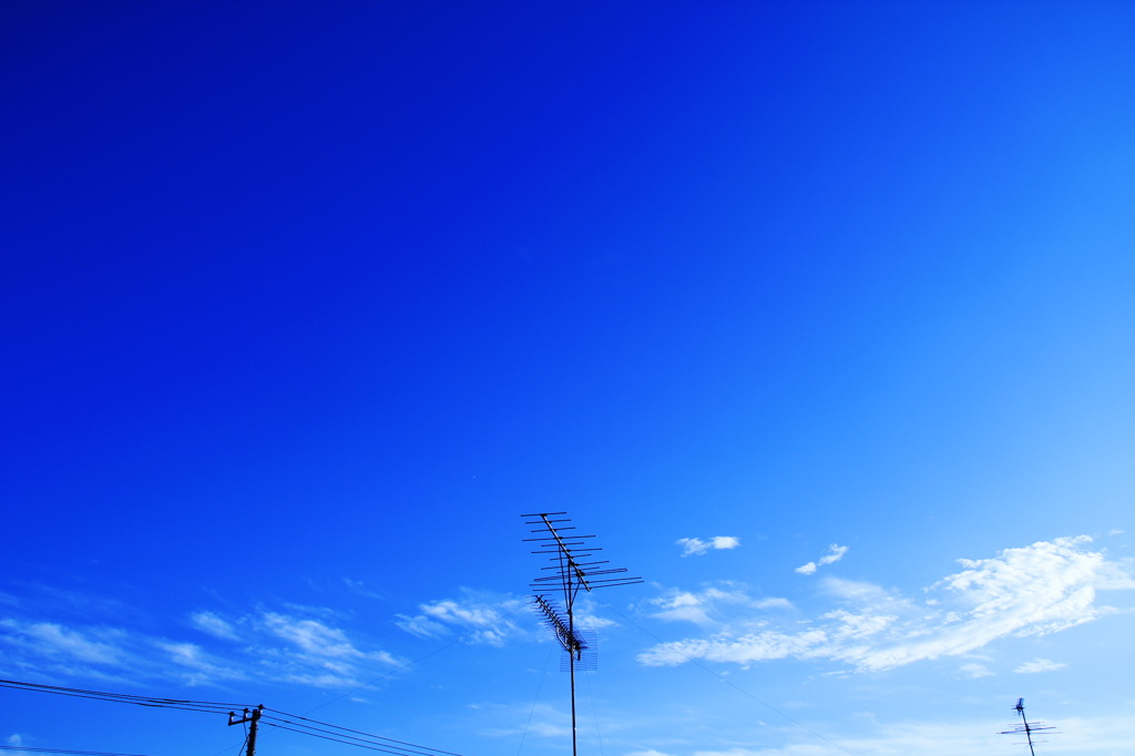 radiowave