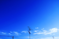 radiowave