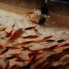 goldfish