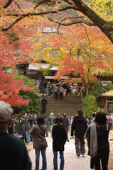 大興善寺の紅葉
