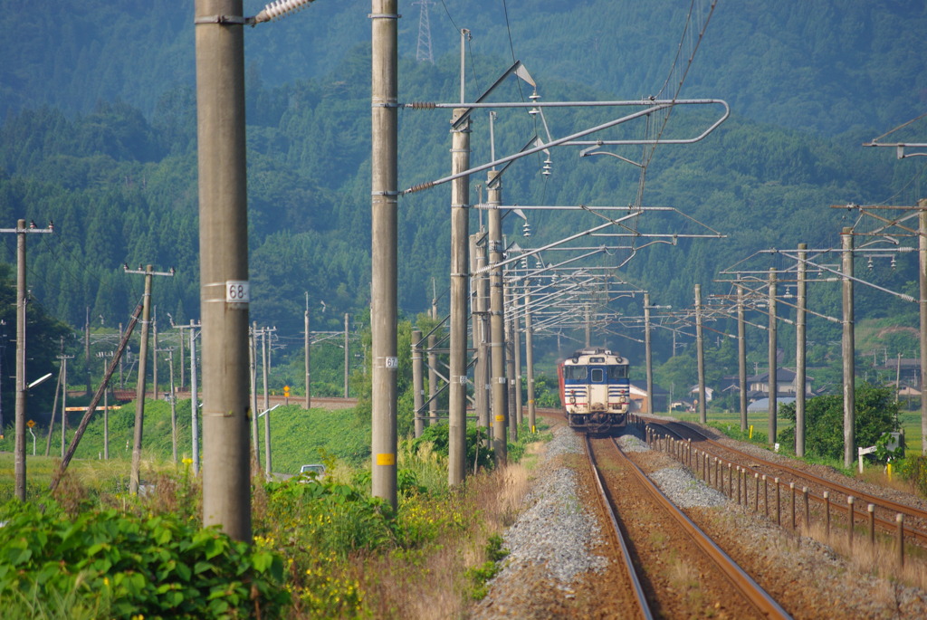 IMGP5764