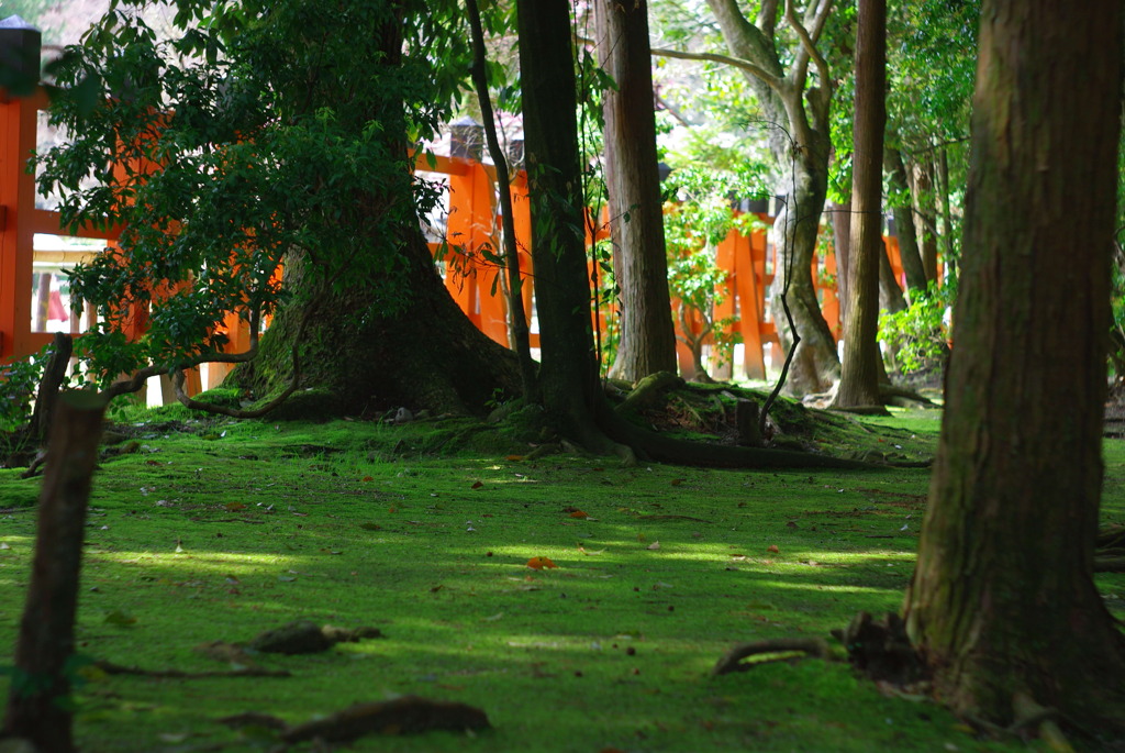 上賀茂神社