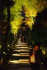 高台寺