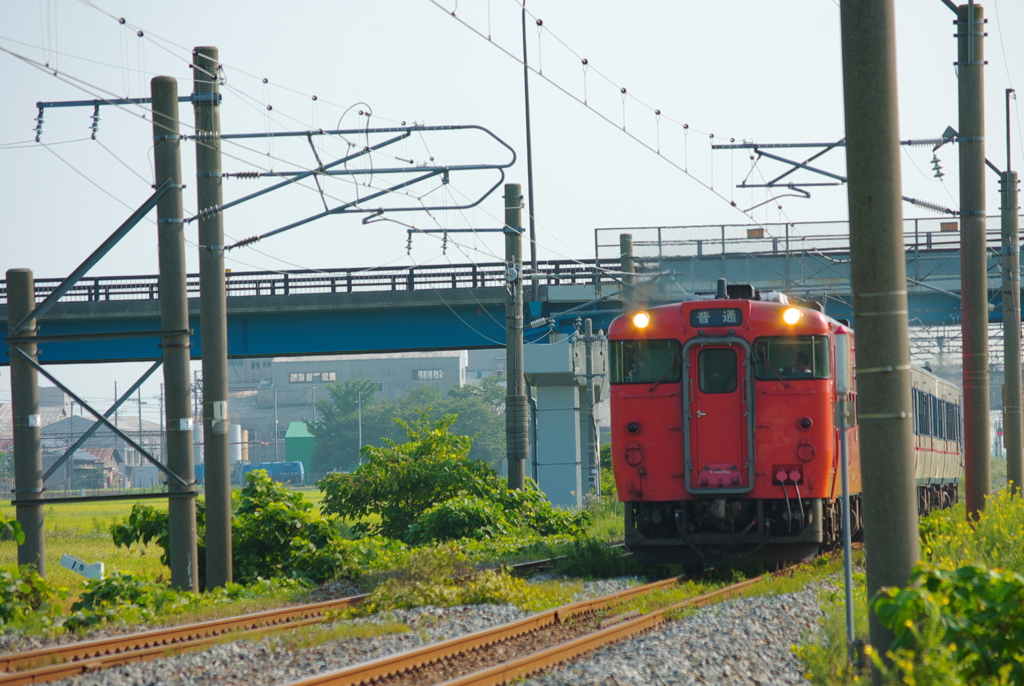 IMGP5763