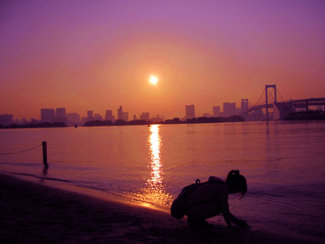 お台場の夕方