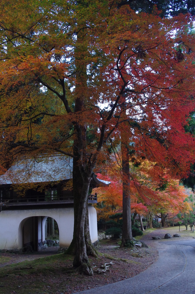 阿弥陀寺入り口