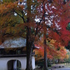阿弥陀寺入り口