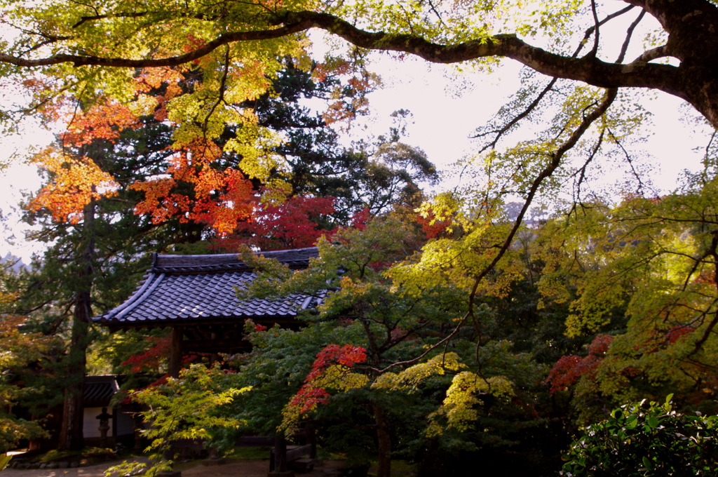 西明寺